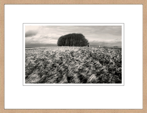 A sepia image can use a wood frame instead of the traditional black one.